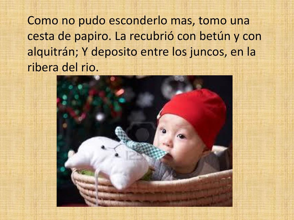 Como no pudo esconderlo mas, tomo una cesta de papiro