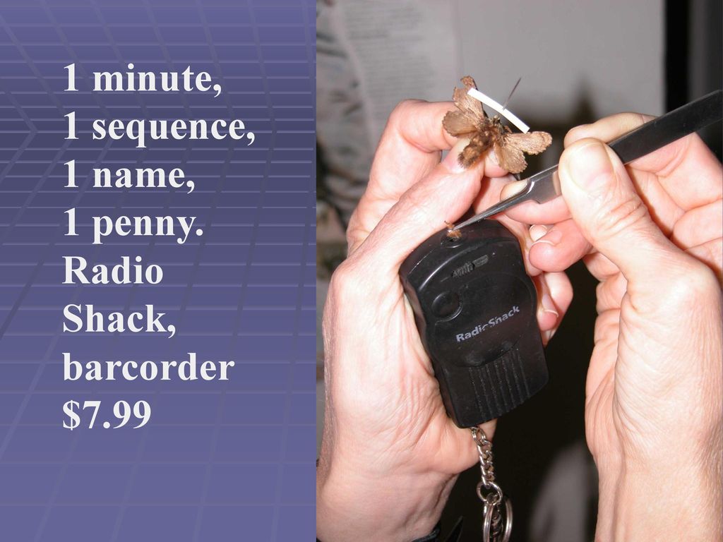 1 minute, 1 sequence, 1 name, 1 penny. Radio Shack, barcorder $7.99