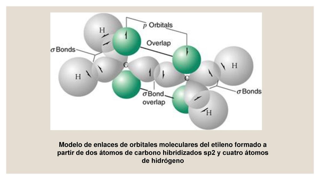 Modelo de enlaces de orbitales moleculares del etileno formado a partir de dos átomos de carbono hibridizados sp2 y cuatro átomos de hidrógeno