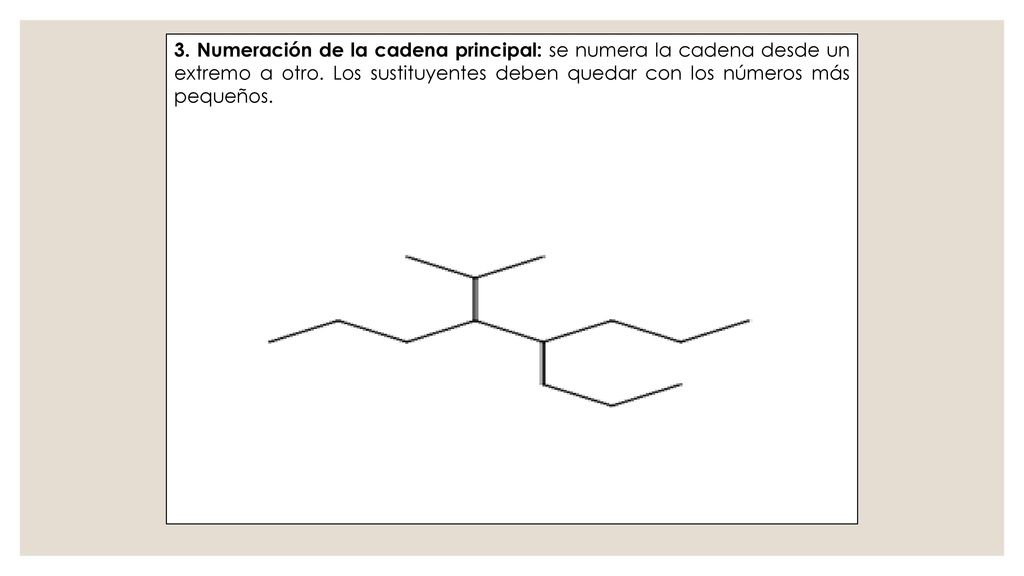 3. Numeración de la cadena principal: se numera la cadena desde un extremo a otro.