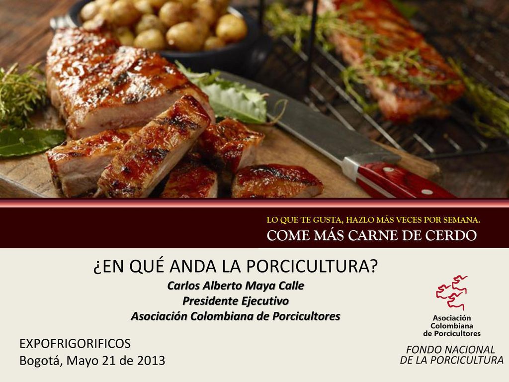 Carlos Alberto Maya Calle Asociación Colombiana de Porcicultores