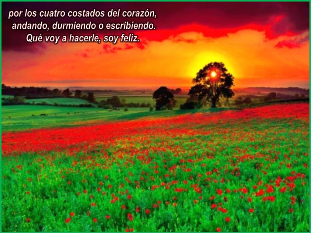 por los cuatro costados del corazón, andando, durmiendo o escribiendo.