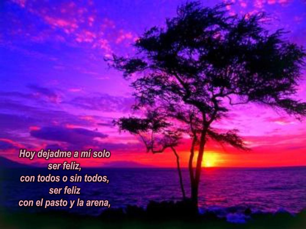 Hoy dejadme a mí solo ser feliz, con todos o sin todos, ser feliz con el pasto y la arena,