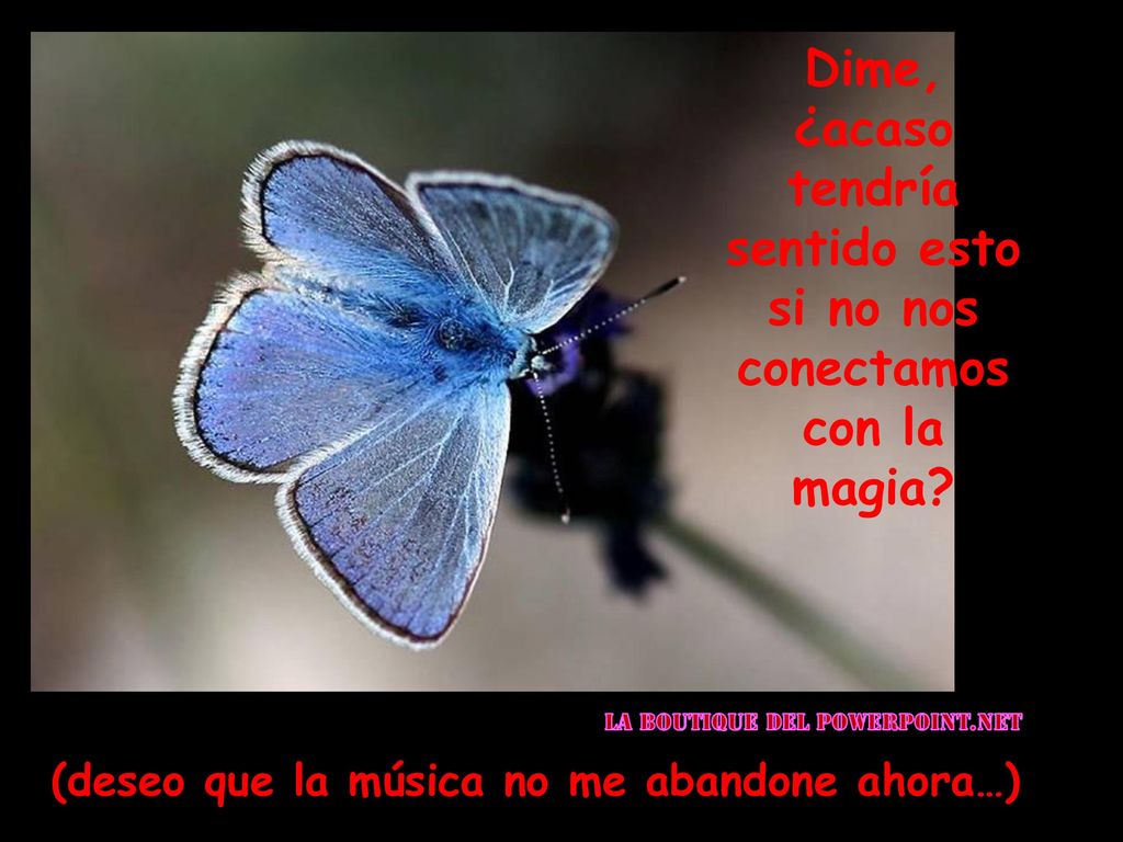 Dime, ¿acaso tendría sentido esto si no nos conectamos con la magia