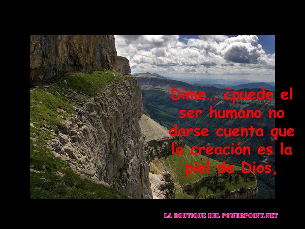Dime… ¿puede el ser humano no darse cuenta que la creación es la piel de Dios,
