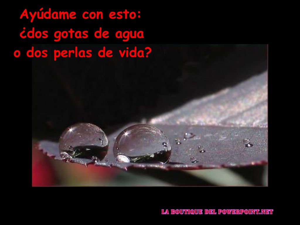 Ayúdame con esto: ¿dos gotas de agua o dos perlas de vida
