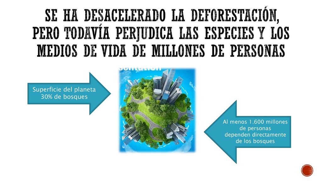 Se ha desacelerado la deforestación, pero todavía perjudica las especies y los medios de vida de millones de personas
