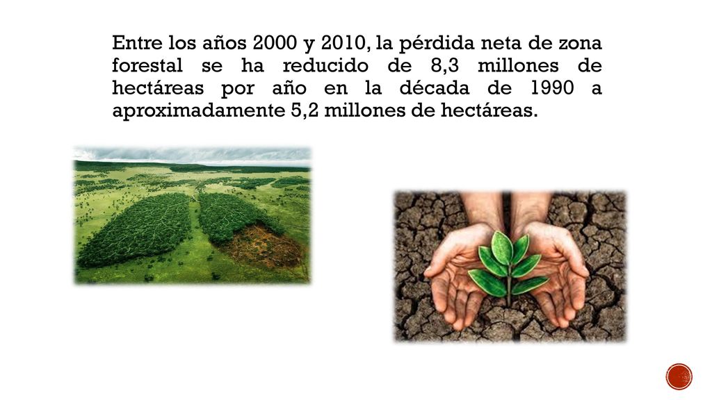 Entre los años 2000 y 2010, la pérdida neta de zona forestal se ha reducido de 8,3 millones de hectáreas por año en la década de 1990 a aproximadamente 5,2 millones de hectáreas.