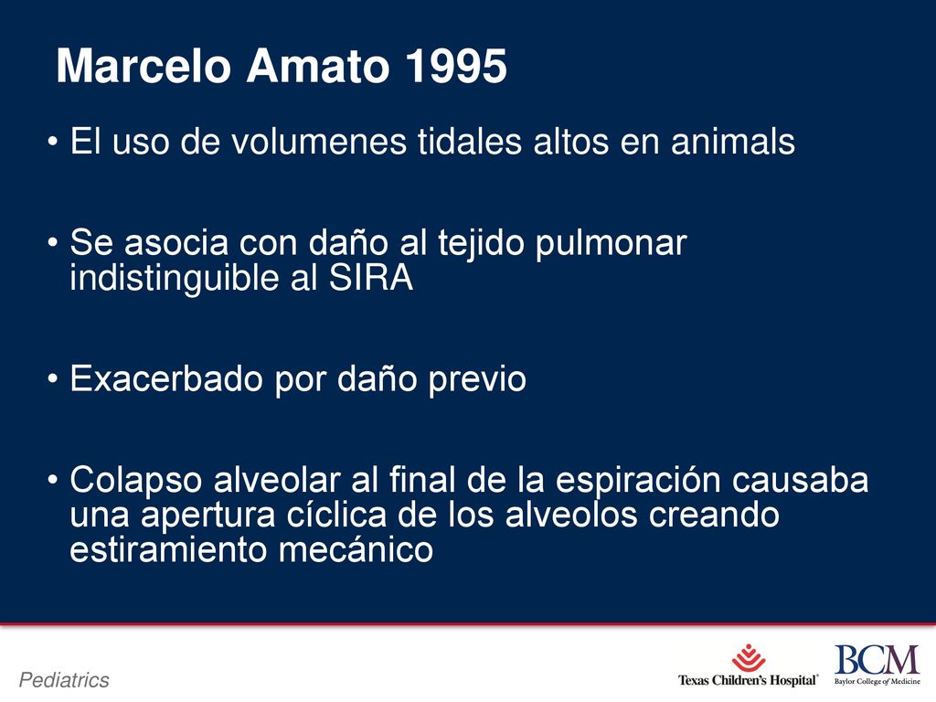 Marcelo Amato 1995 El uso de volumenes tidales altos en animals