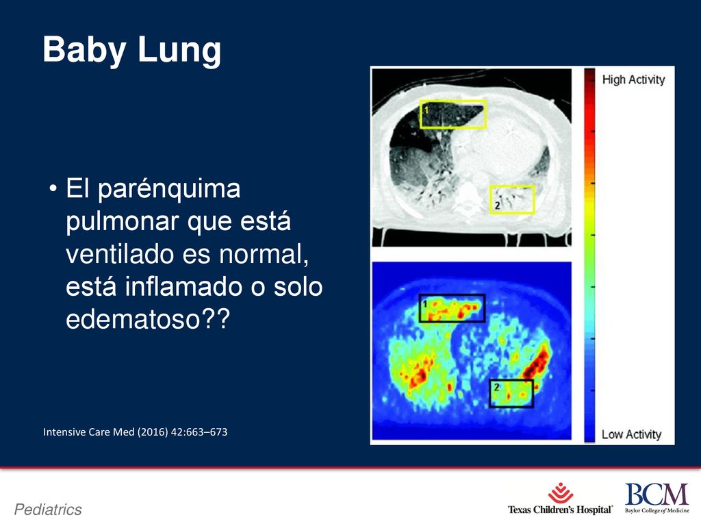 Baby Lung El parénquima pulmonar que está ventilado es normal, está inflamado o solo edematoso