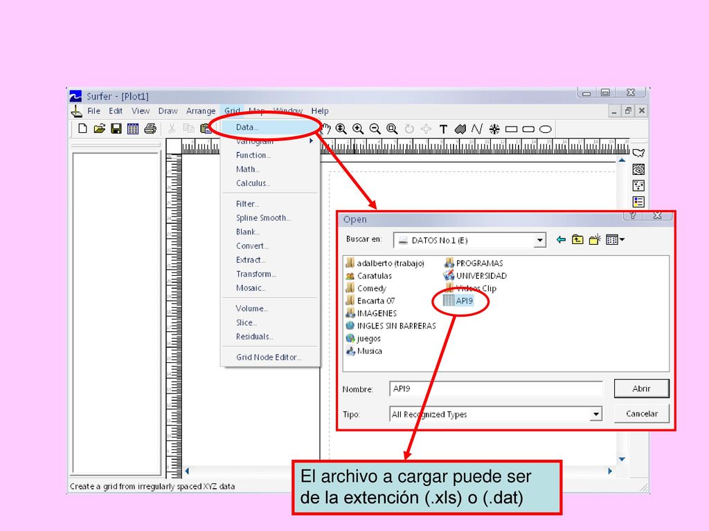 El archivo a cargar puede ser de la extención (.xls) o (.dat)