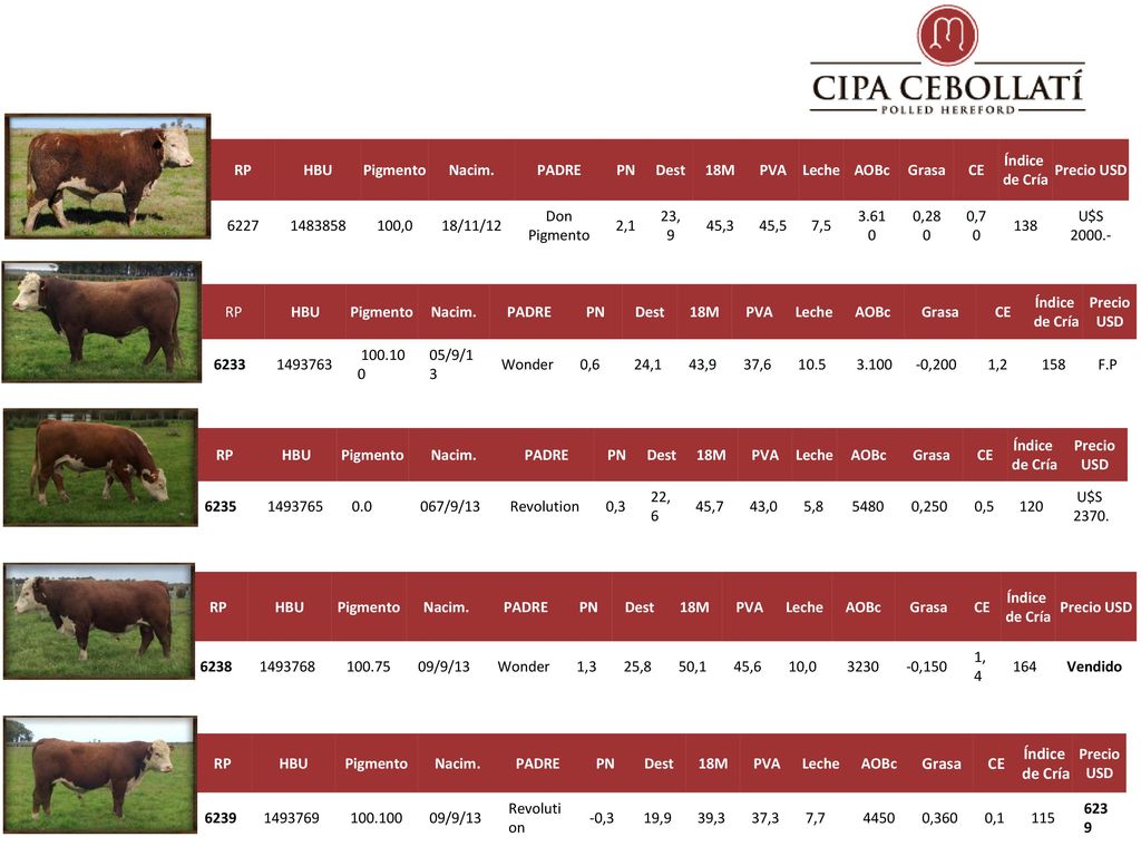 RP HBU. Pigmento. Nacim. PADRE. PN. Dest. 18M. PVA. Leche. AOBc. Grasa. CE. Índice de Cría.