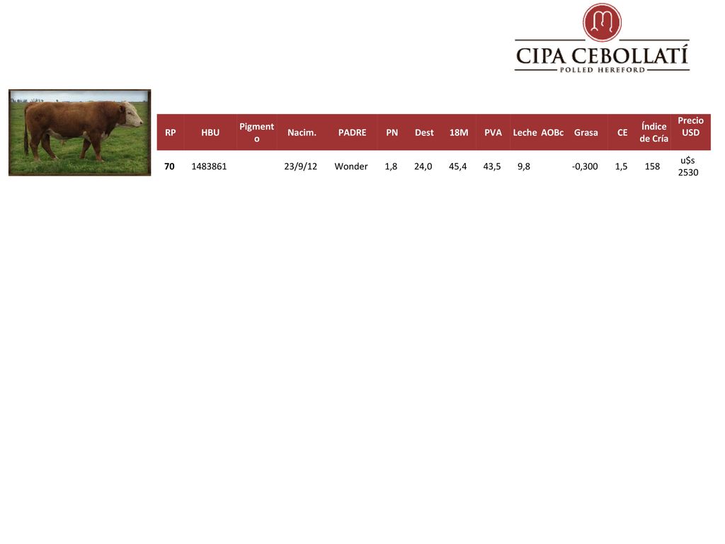 RP HBU. Pigmento. Nacim. PADRE. PN. Dest. 18M. PVA. Leche. AOBc. Grasa. CE. Índice de Cría.