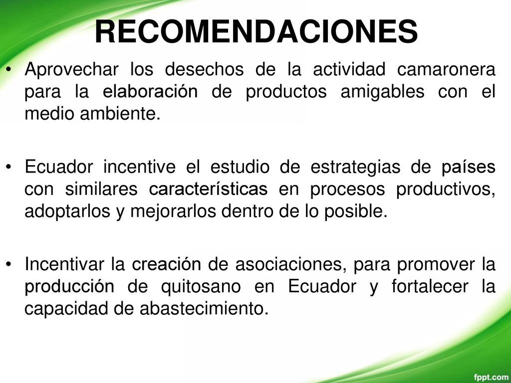 RECOMENDACIONES Aprovechar los desechos de la actividad camaronera para la elaboración de productos amigables con el medio ambiente.