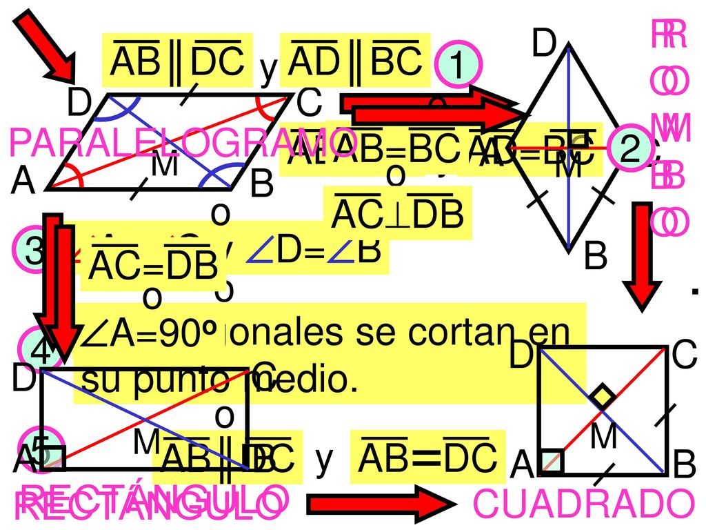 Las diagonales se cortan en su punto medio. 4