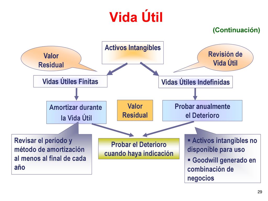 Vida Útil Activos Intangibles Revisión de Vida Útil Valor Residual