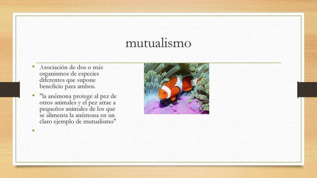 mutualismo Asociación de dos o más organismos de especies diferentes que supone beneficio para ambos.