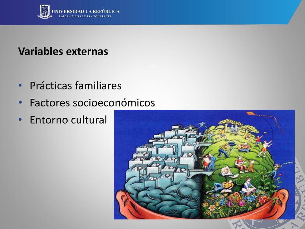 Variables externas Prácticas familiares Factores socioeconómicos Entorno cultural
