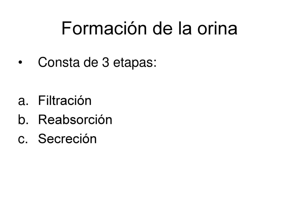 Formación de la orina Consta de 3 etapas: Filtración Reabsorción