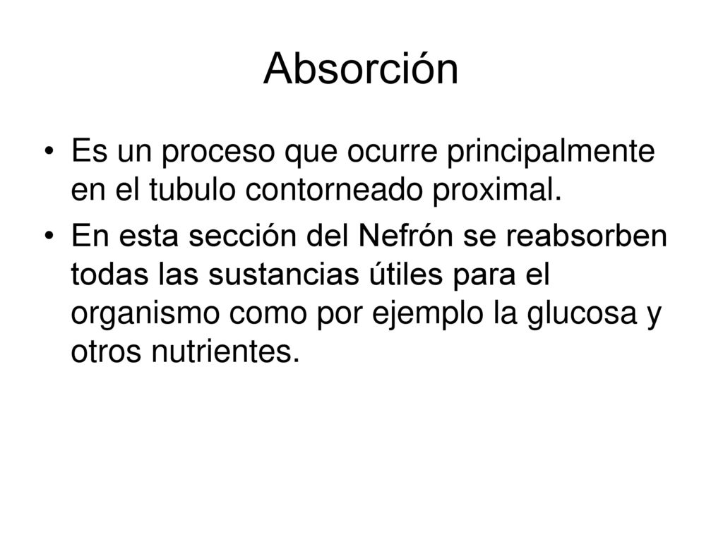 Absorción Es un proceso que ocurre principalmente en el tubulo contorneado proximal.