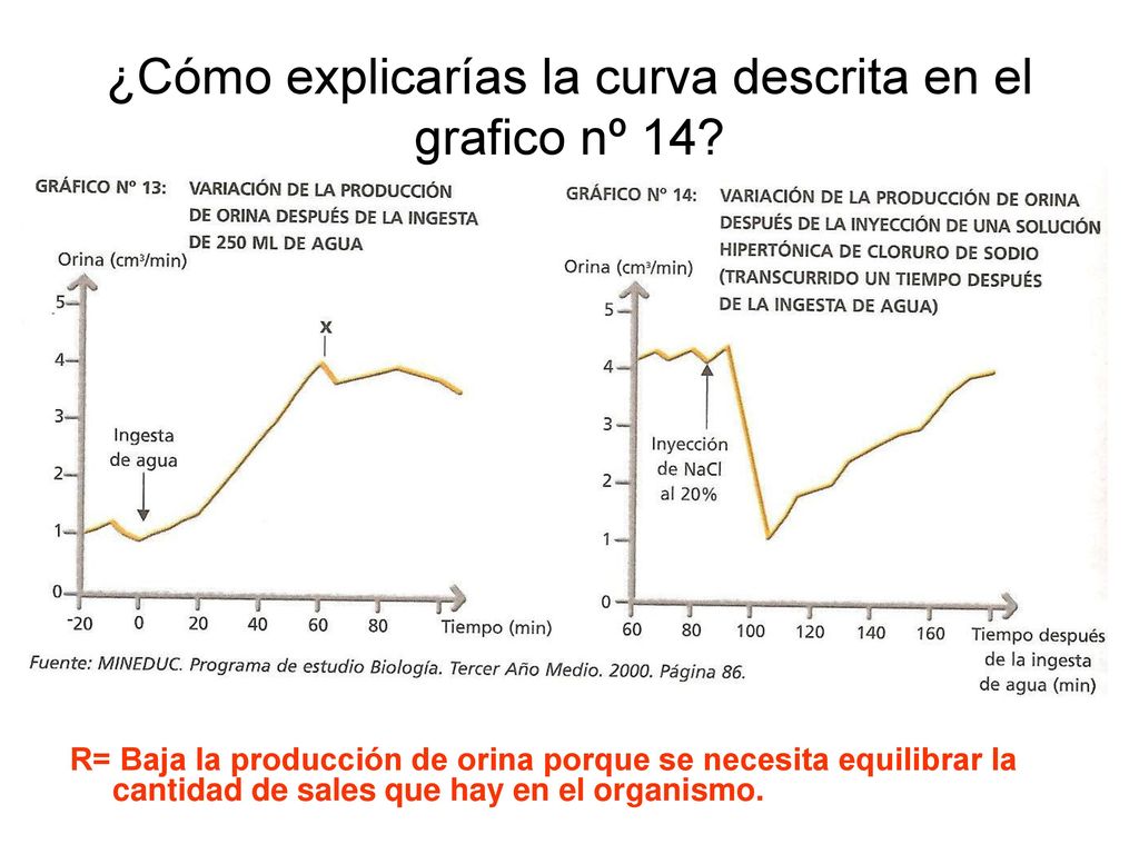 ¿Cómo explicarías la curva descrita en el grafico nº 14