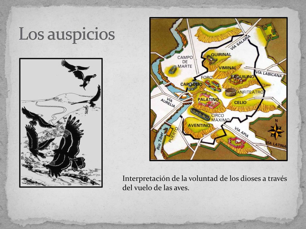 Los auspicios Interpretación de la voluntad de los dioses a través