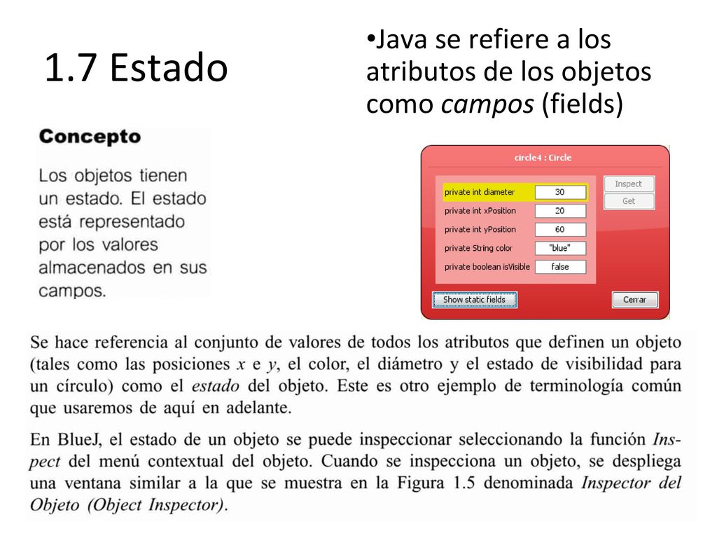 1.7 Estado Java se refiere a los atributos de los objetos como campos (fields)