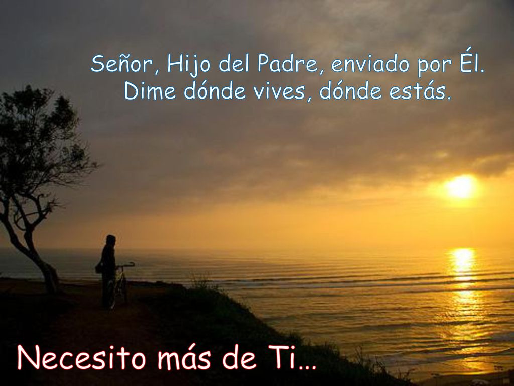Necesito más de Ti… Señor, Hijo del Padre, enviado por Él.