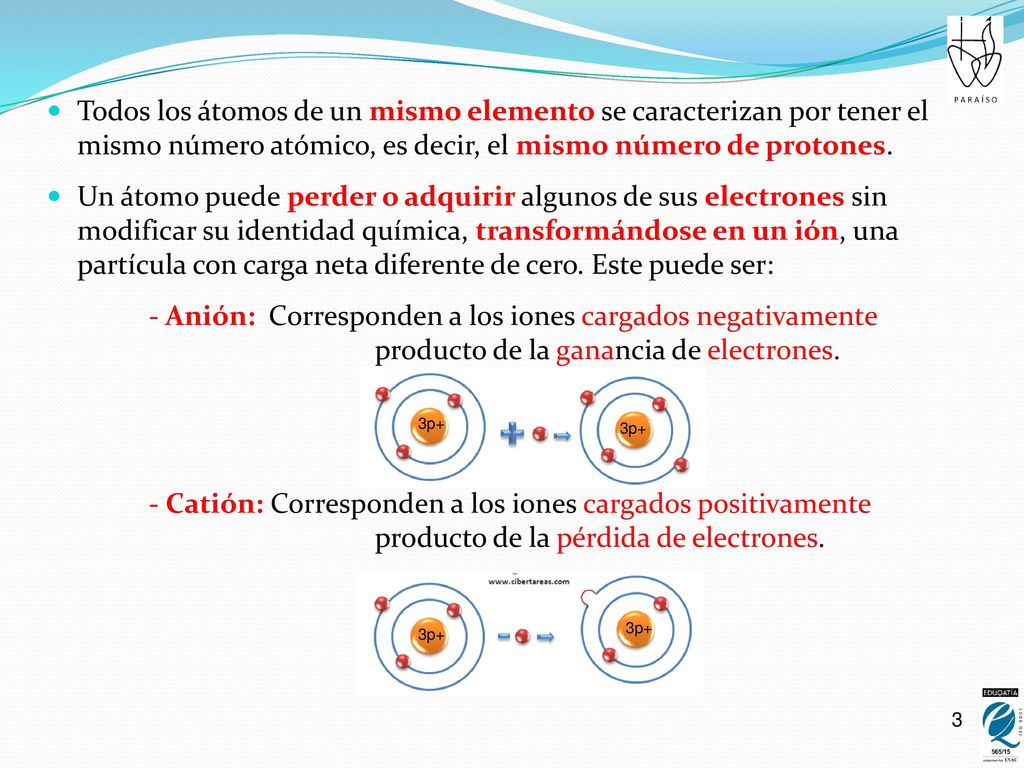 Todos los átomos de un mismo elemento se caracterizan por tener el mismo número atómico, es decir, el mismo número de protones.