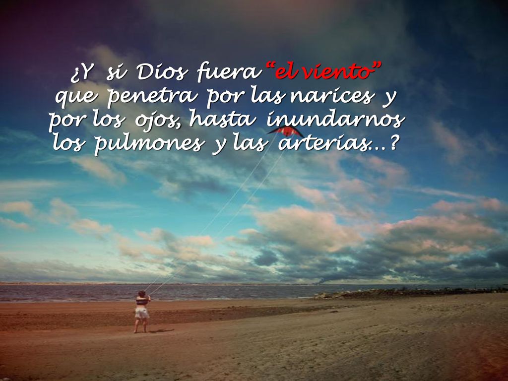 ¿Y si Dios fuera el viento que penetra por las narices y por los ojos, hasta inundarnos los pulmones y las arterias…