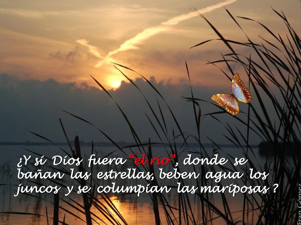 ¿Y si Dios fuera el río , donde se bañan las estrellas, beben agua los juncos y se columpian las mariposas