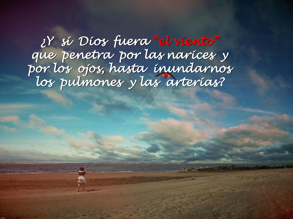 ¿Y si Dios fuera el viento que penetra por las narices y por los ojos, hasta inundarnos los pulmones y las arterias