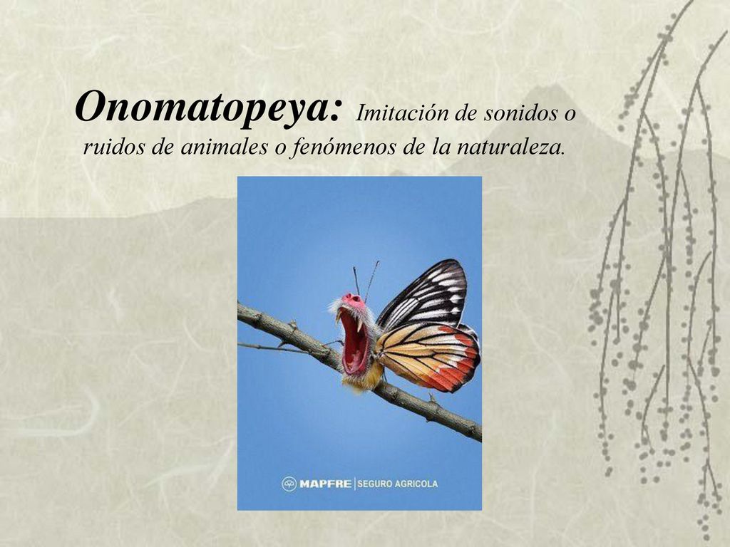 Onomatopeya: Imitación de sonidos o ruidos de animales o fenómenos de la naturaleza.
