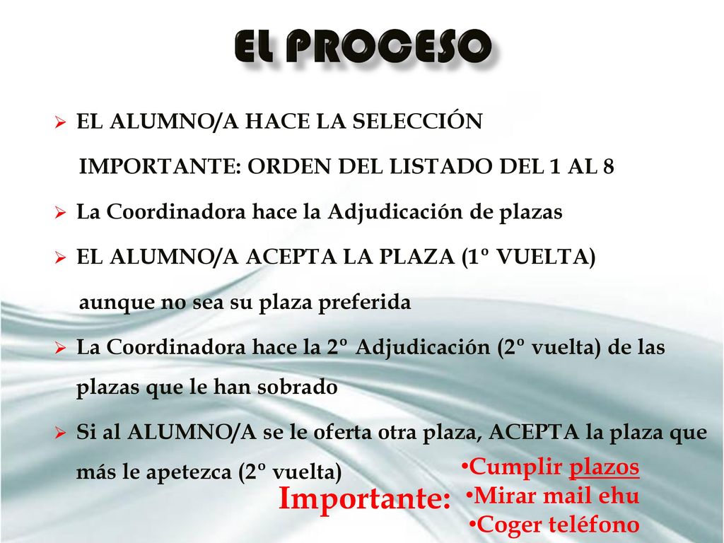 EL Proceso Importante: Cumplir plazos Mirar mail ehu Coger teléfono
