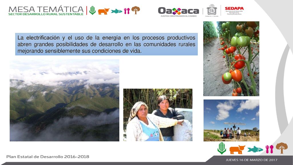La electrificación y el uso de la energía en los procesos productivos abren grandes posibilidades de desarrollo en las comunidades rurales mejorando sensiblemente sus condiciones de vida.