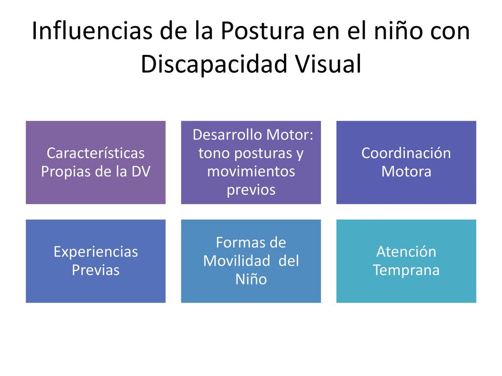 Influencias de la Postura en el niño con Discapacidad Visual