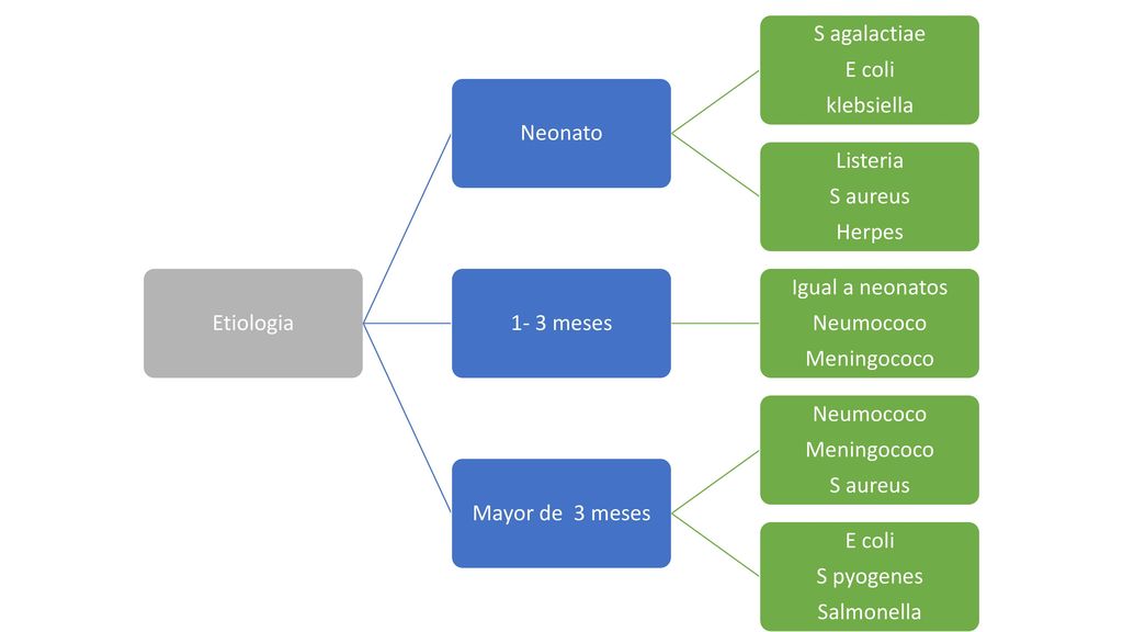 Etiologia Neonato. S agalactiae. klebsiella. E coli. S aureus. Herpes. Listeria meses.