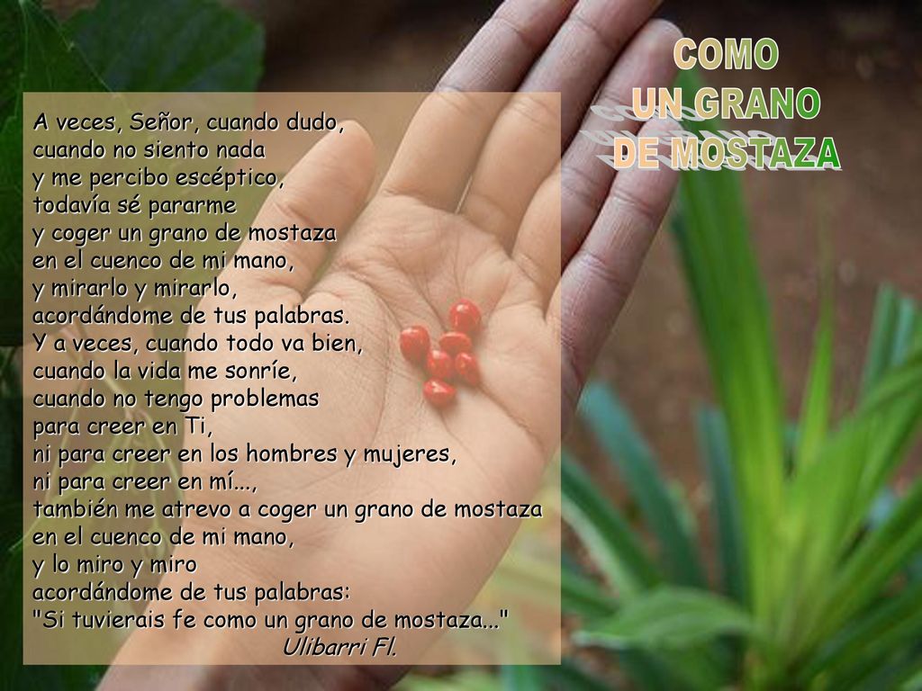 COMO UN GRANO DE MOSTAZA A veces, Señor, cuando dudo,