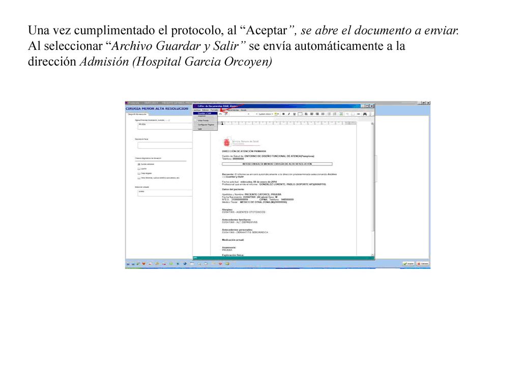 Una vez cumplimentado el protocolo, al Aceptar , se abre el documento a enviar.