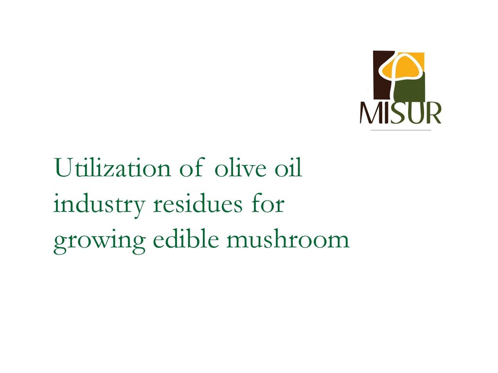 Utilization of olive oil industry residues for growing edible mushroom