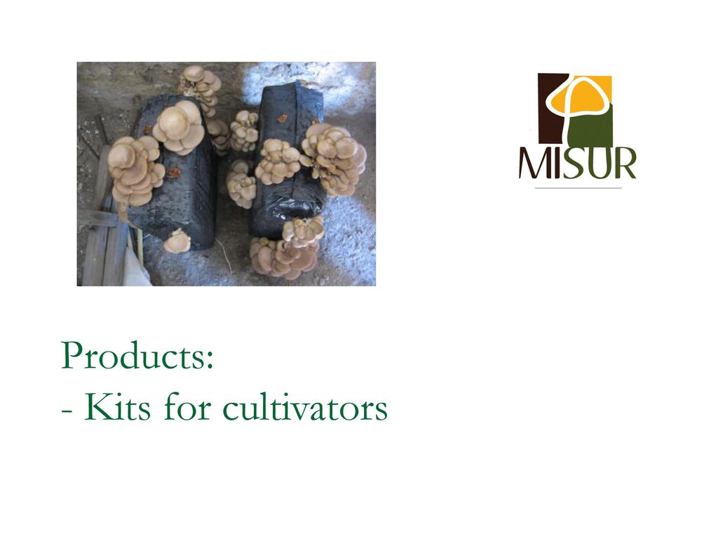 Products: - Kits for cultivators