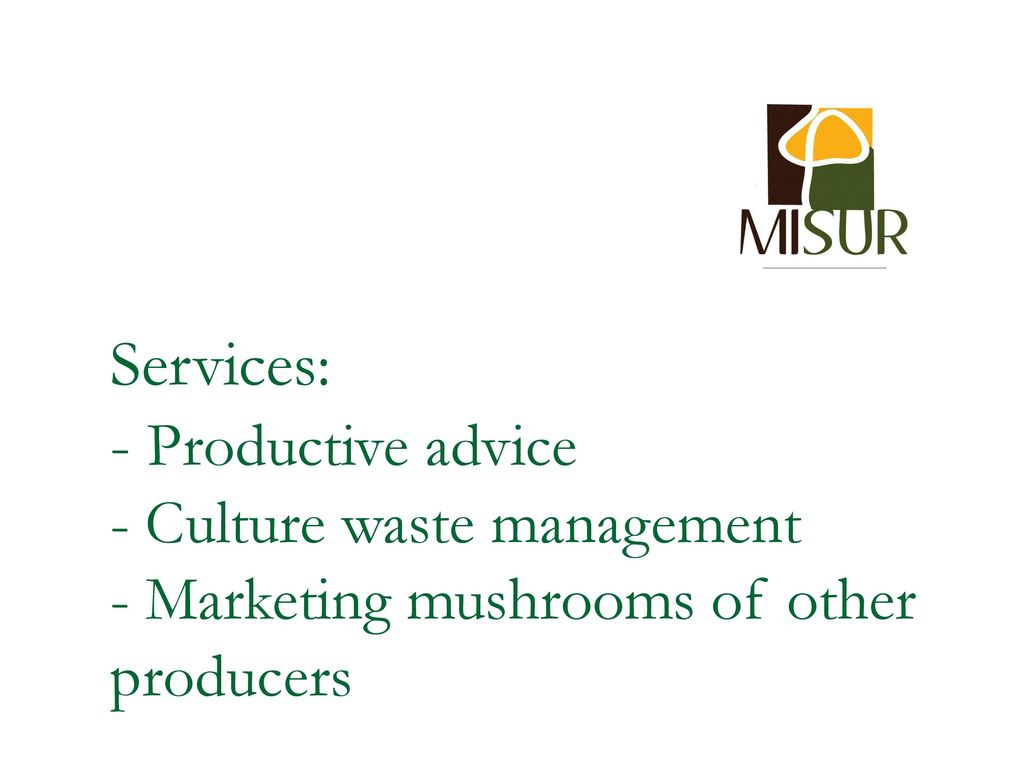 Services: - Productive advice - Culture waste management - Marketing mushrooms of other producers