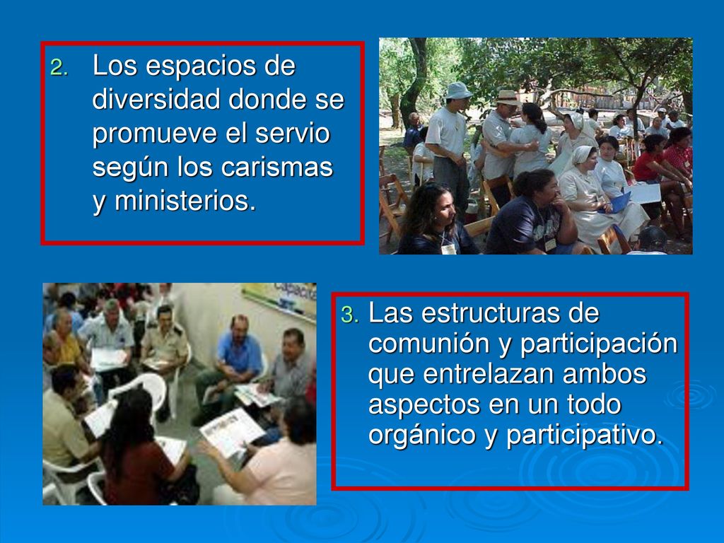 Los espacios de diversidad donde se promueve el servio según los carismas y ministerios.