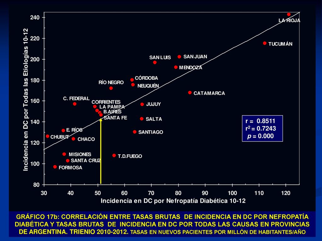 GRÁFICO 17b: CORRELACIÓN ENTRE TASAS BRUTAS DE INCIDENCIA EN DC POR NEFROPATÍA DIABÉTICA Y TASAS BRUTAS DE INCIDENCIA EN DC POR TODAS LAS CAUSAS EN PROVINCIAS DE ARGENTINA. TRIENIO TASAS EN NUEVOS PACIENTES POR MILLÓN DE HABITANTES/AÑO