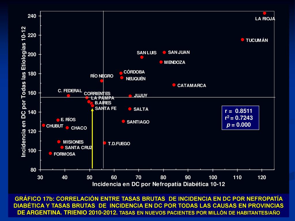 GRÁFICO 17b: CORRELACIÓN ENTRE TASAS BRUTAS DE INCIDENCIA EN DC POR NEFROPATÍA DIABÉTICA Y TASAS BRUTAS DE INCIDENCIA EN DC POR TODAS LAS CAUSAS EN PROVINCIAS DE ARGENTINA. TRIENIO TASAS EN NUEVOS PACIENTES POR MILLÓN DE HABITANTES/AÑO