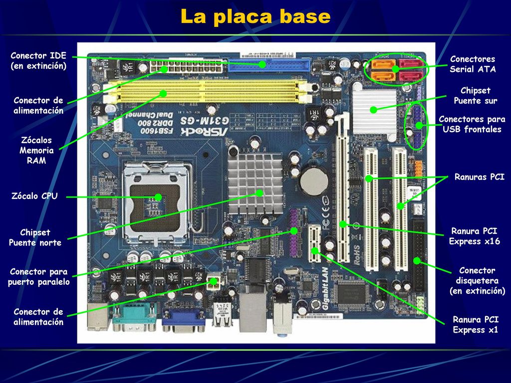 La placa base Conector IDE (en extinción) Conectores Serial ATA
