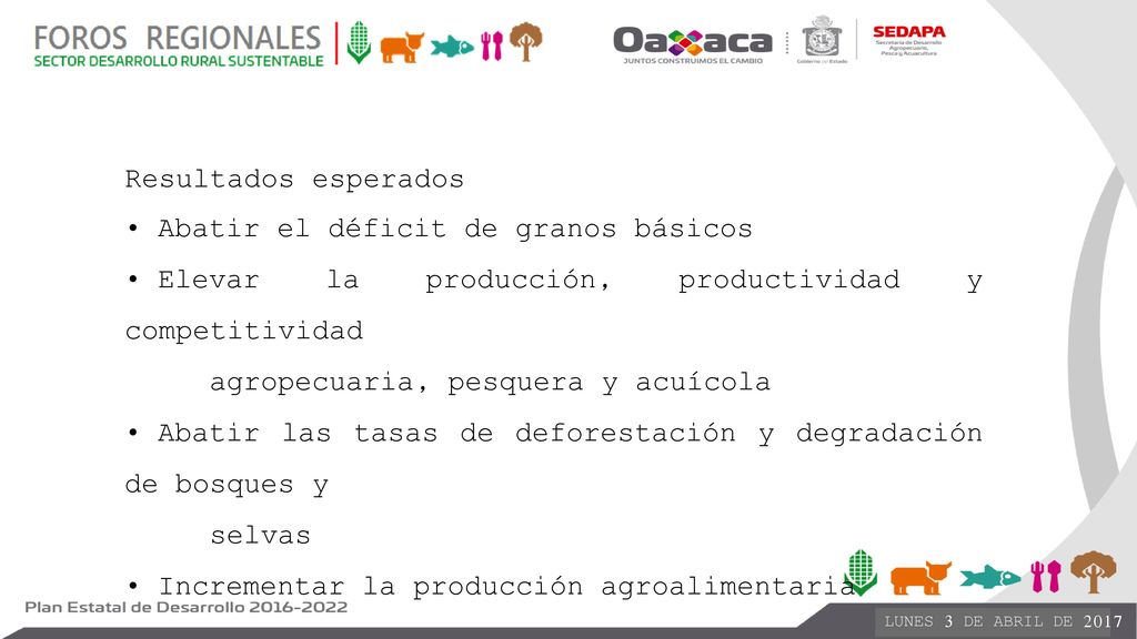Resultados esperados • Abatir el déficit de granos básicos. • Elevar la producción, productividad y competitividad.