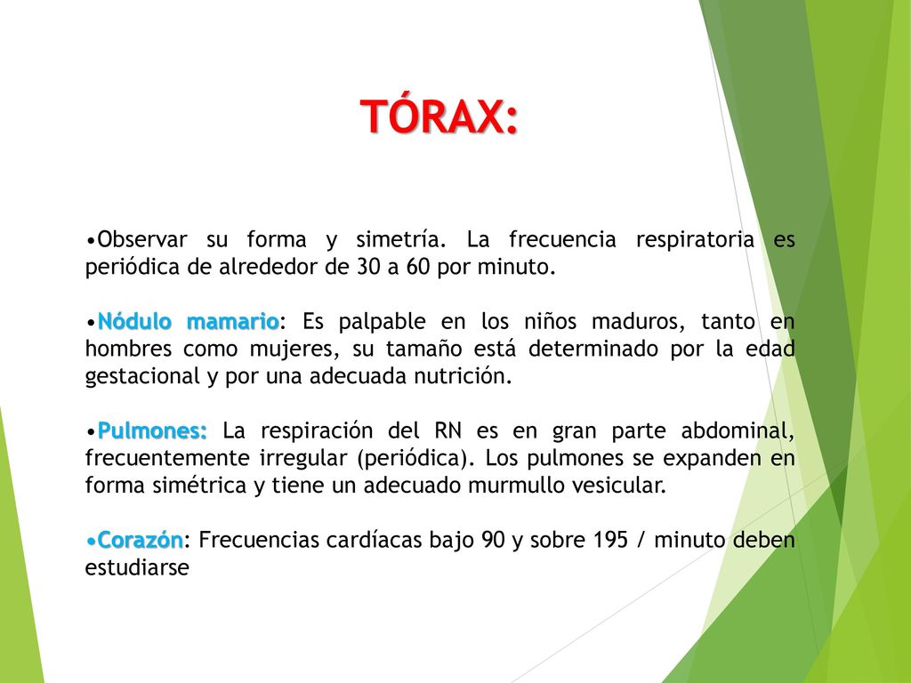TÓRAX: •Observar su forma y simetría. La frecuencia respiratoria es periódica de alrededor de 30 a 60 por minuto.