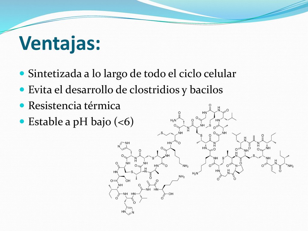 Ventajas: Sintetizada a lo largo de todo el ciclo celular