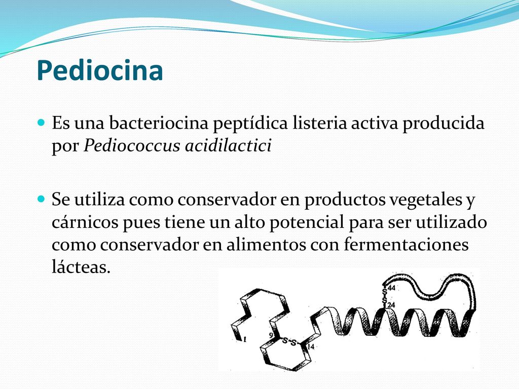 Pediocina Es una bacteriocina peptídica listeria activa producida por Pediococcus acidilactici.